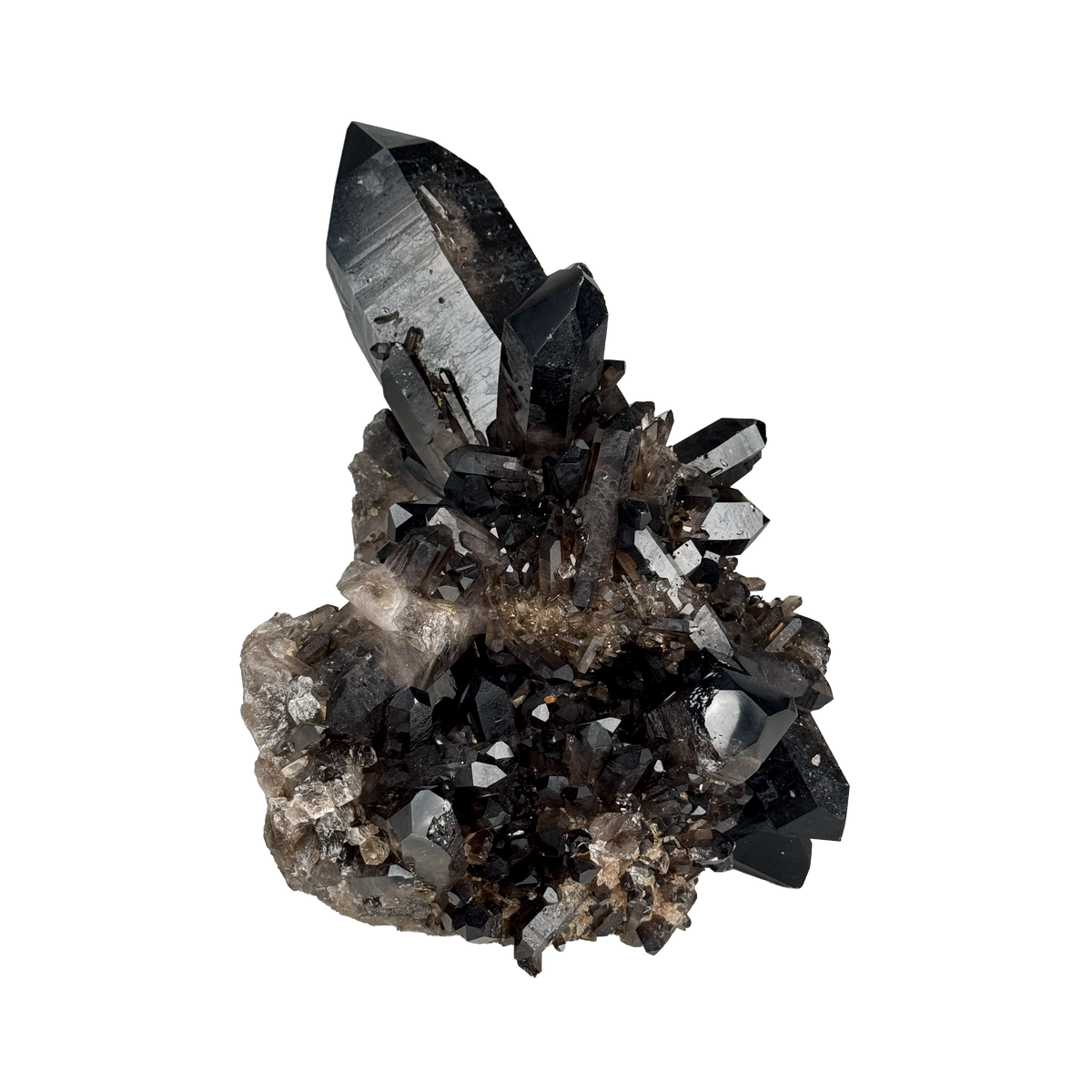 Rough Smoky Quartz 10000659