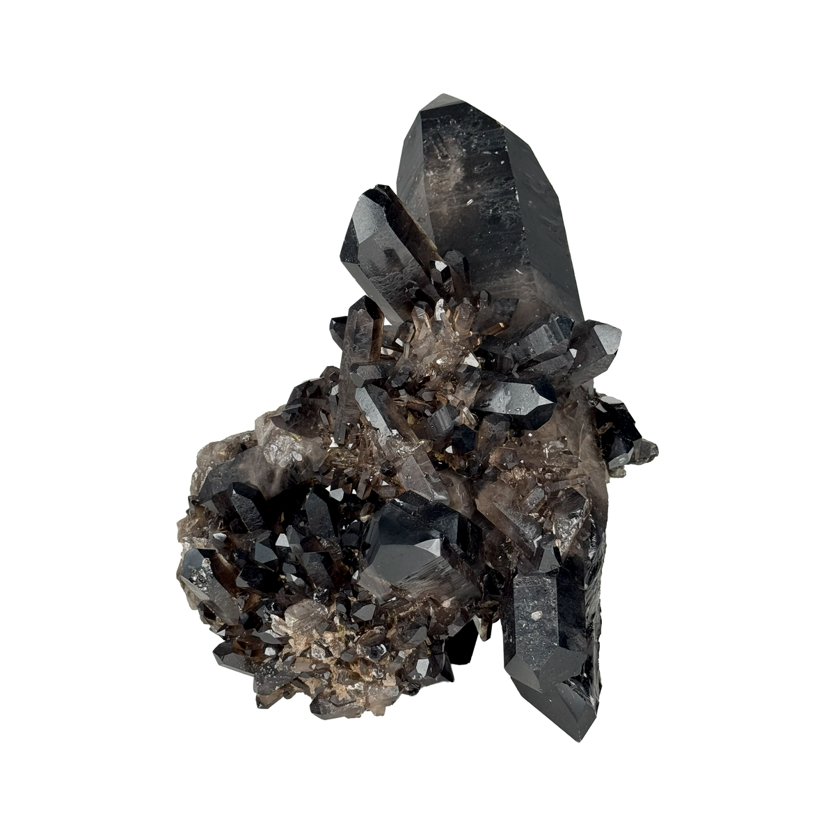 Rough Smoky Quartz 10000659