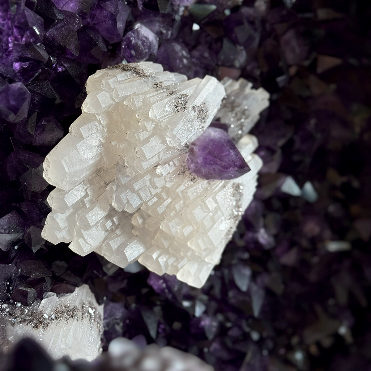 Amethyst Wings 20000078