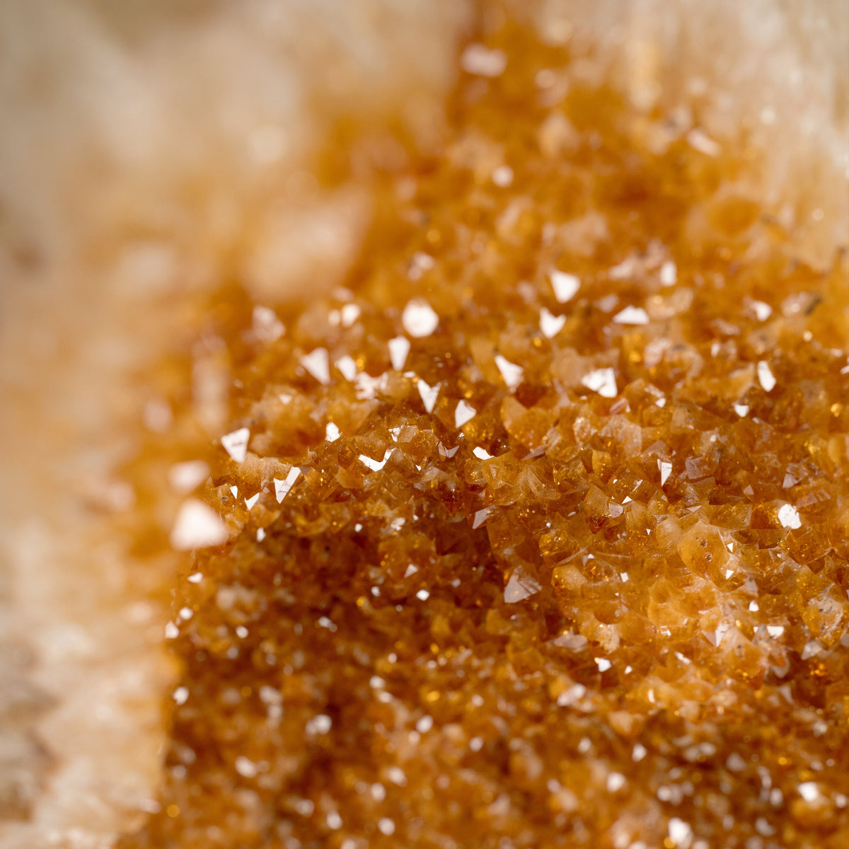 The Golden Ember Citrine 10001117