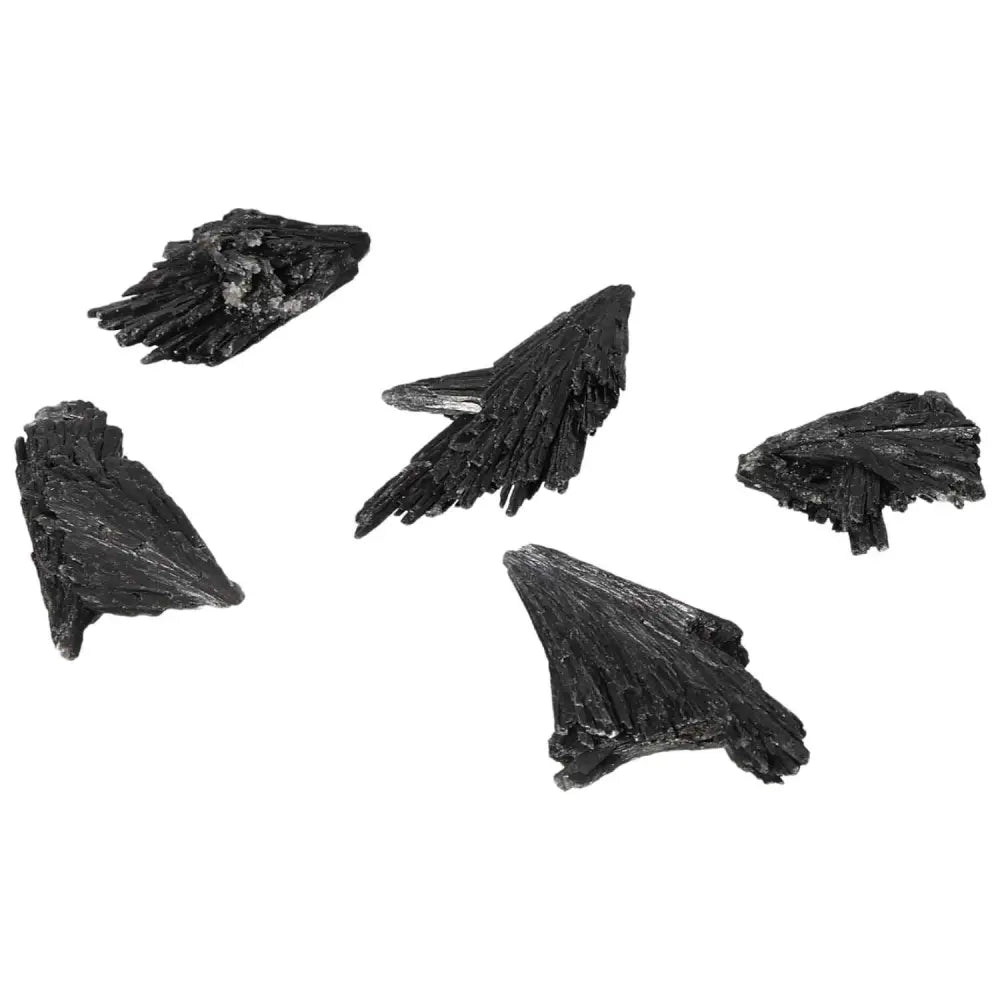 Black Kyanite S crystals from Sylvia Crystals, luxury gemstone for meditation and introspection, perfect for spiritual seekers.