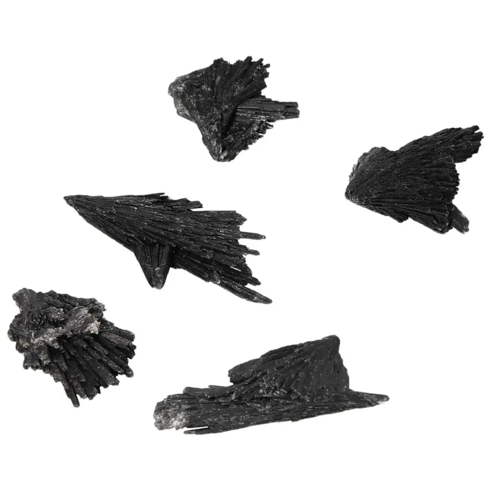 Collection of Black Kyanite S crystals from Sylvia Crystals, ideal for meditation and deep introspection, enhancing spiritual exploration.