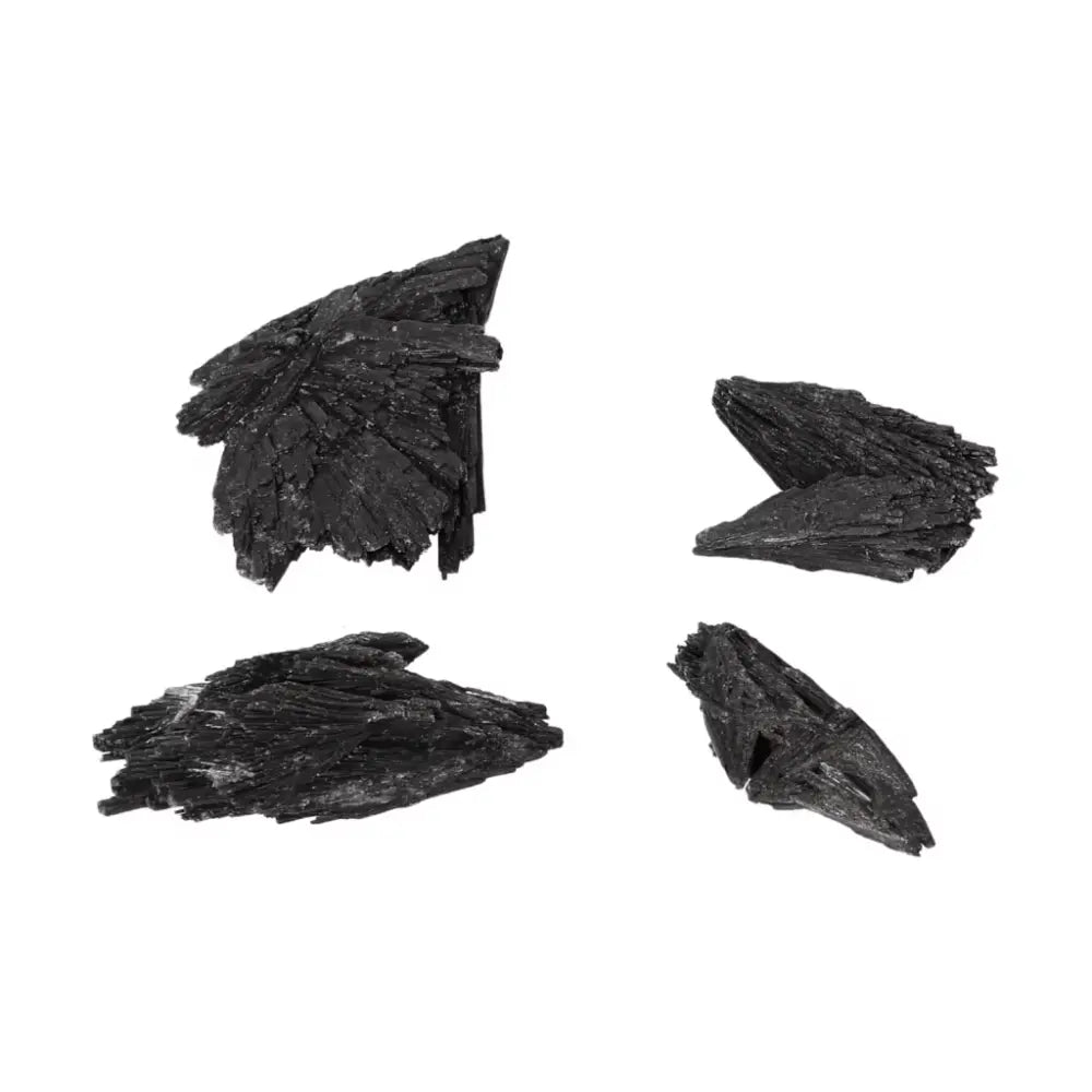 Black Kyanite M crystals from Sylvia Crystals for deep introspection and clarity