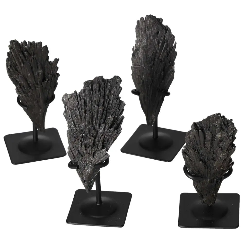 Black Kyanite Crystals on Metal Stand from Sylvia Crystals, showcasing elegance and spiritual clarity, ideal for deep introspection.