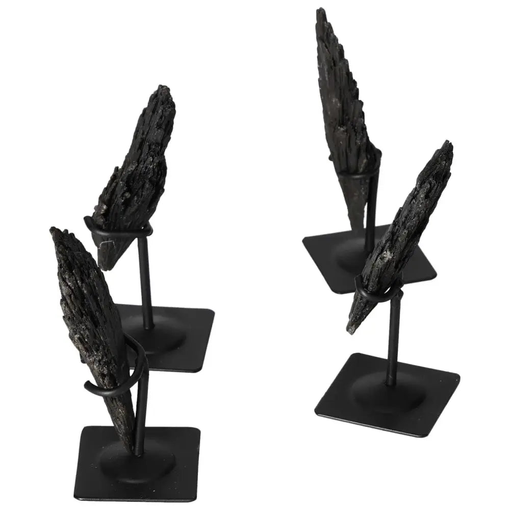 Four black kyanite crystals elegantly displayed on metal stands, showcasing their unique texture and spiritual allure.