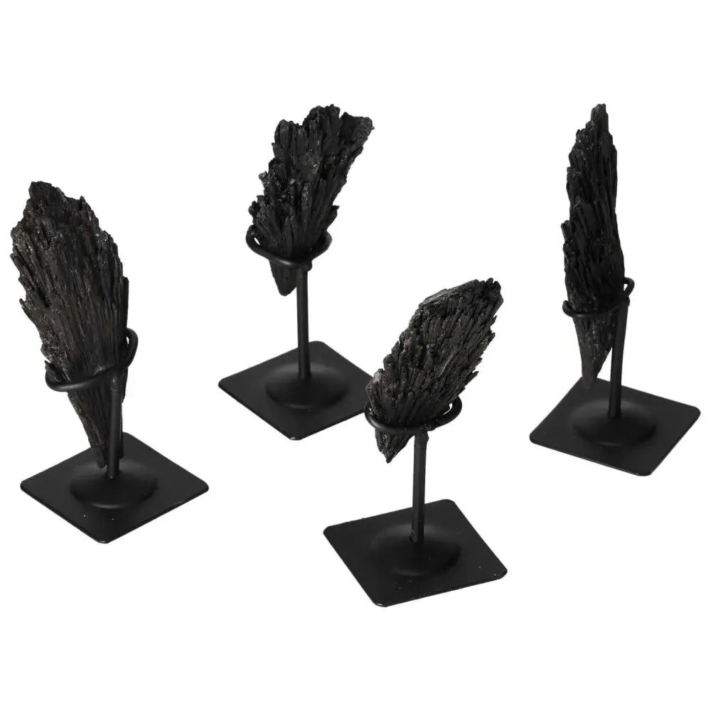 Set of premium Black Kyanite on metal stands showcasing elegant design and spiritual presence from Sylvia Crystals.