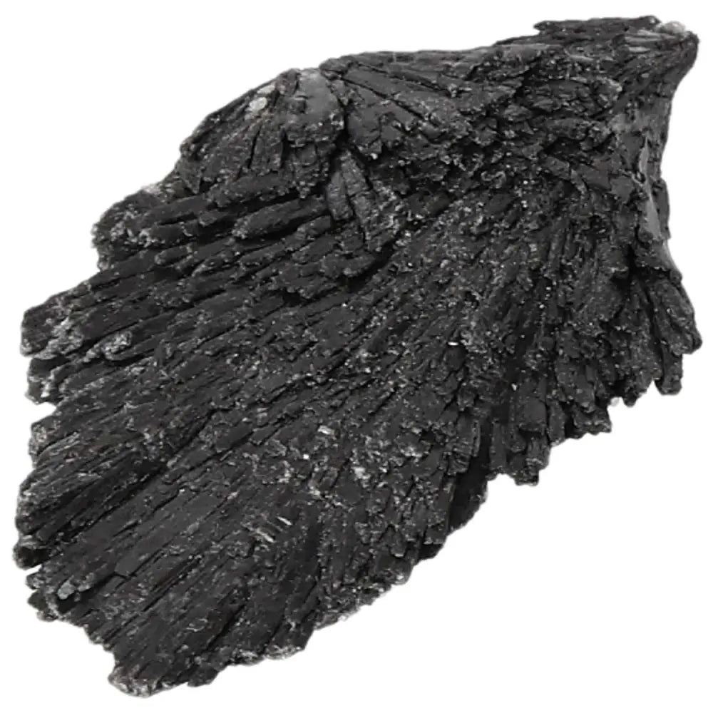 Black Kyanite crystal from Sylvia Crystals, known for enhancing meditation and providing clarity, shown with detailed texture highlighting its natural beauty.