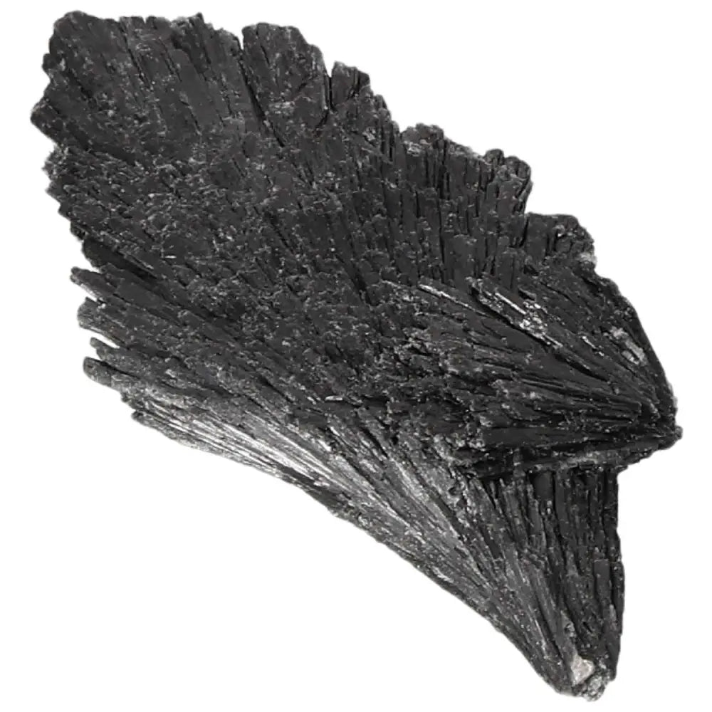Premium Black Kyanite crystal shard, ideal for meditation and introspection by Sylvia Crystals.