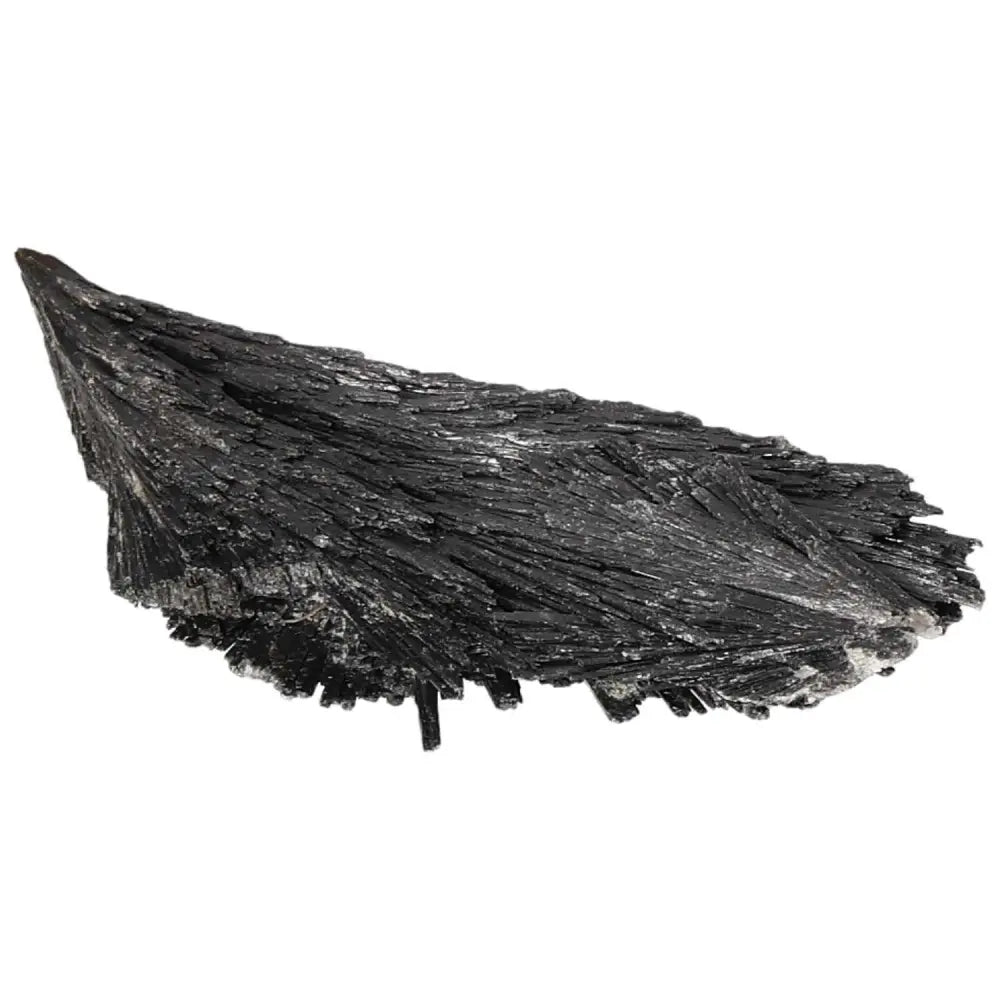 Black Kyanite crystal from Sylvia Crystals, known for meditation support and introspection.