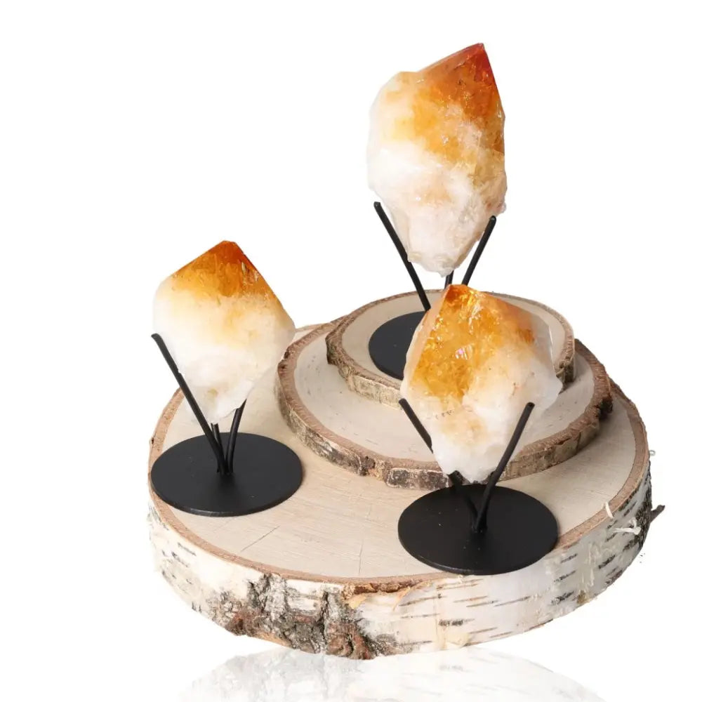 Three natural Citrine points from Sylvia Crystals, radiating vibrant energy, displayed on a wooden stand.
