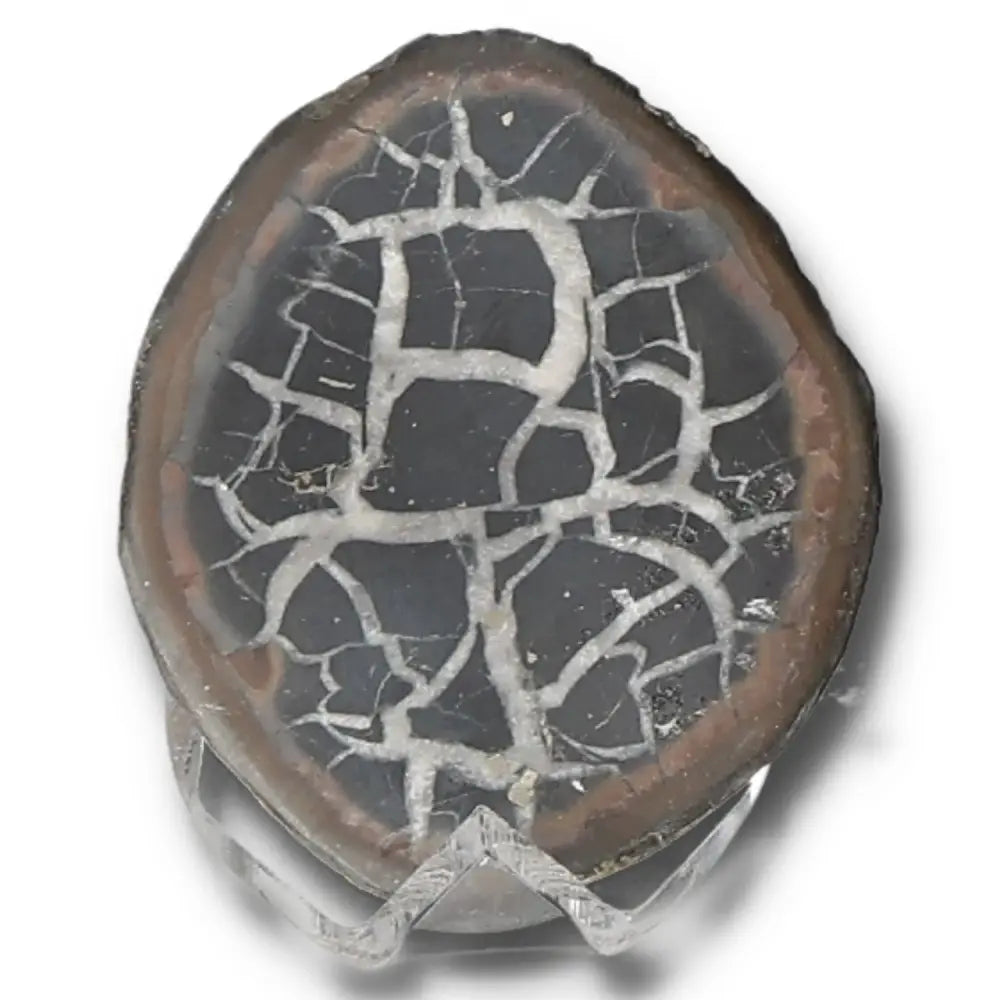 Septarian Dragon Stone with unique cracked pattern and rich symbolism