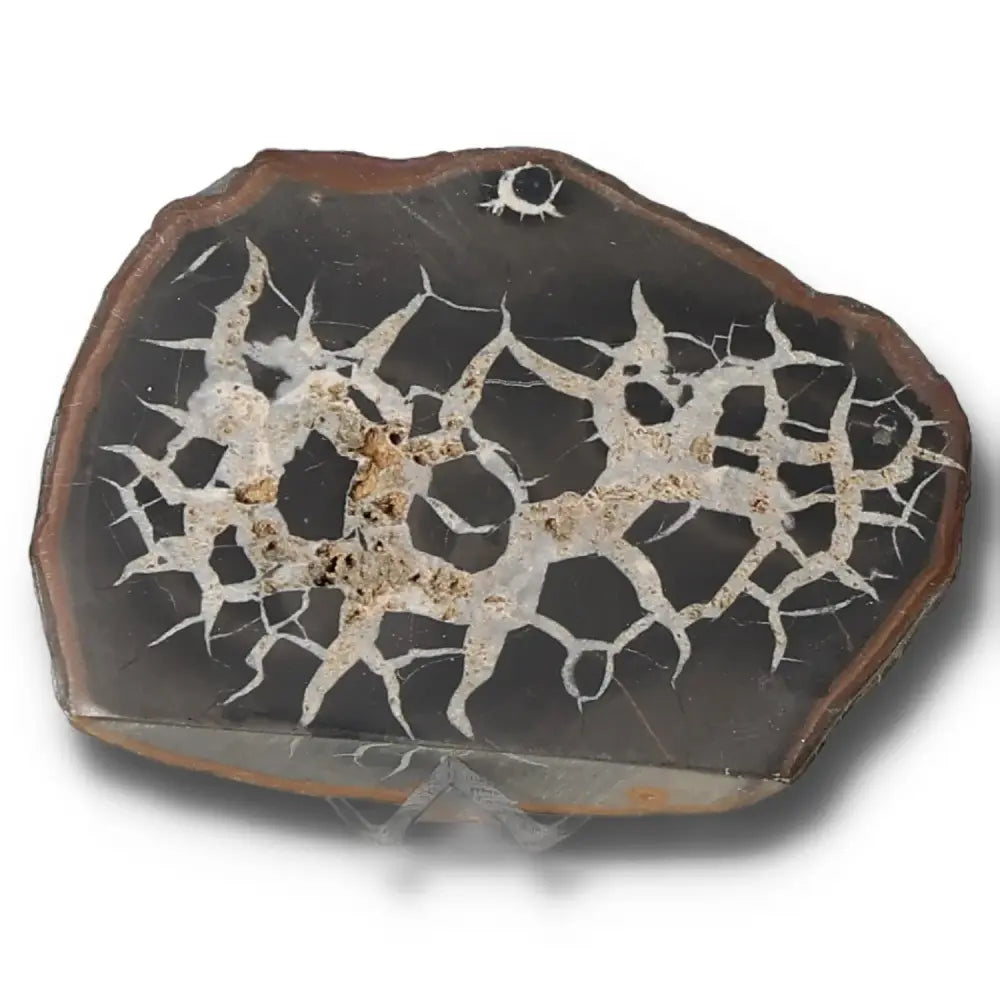 Septarian "Dragon Stone" with unique cracked appearance symbolizing power and endurance in difficult conditions.
