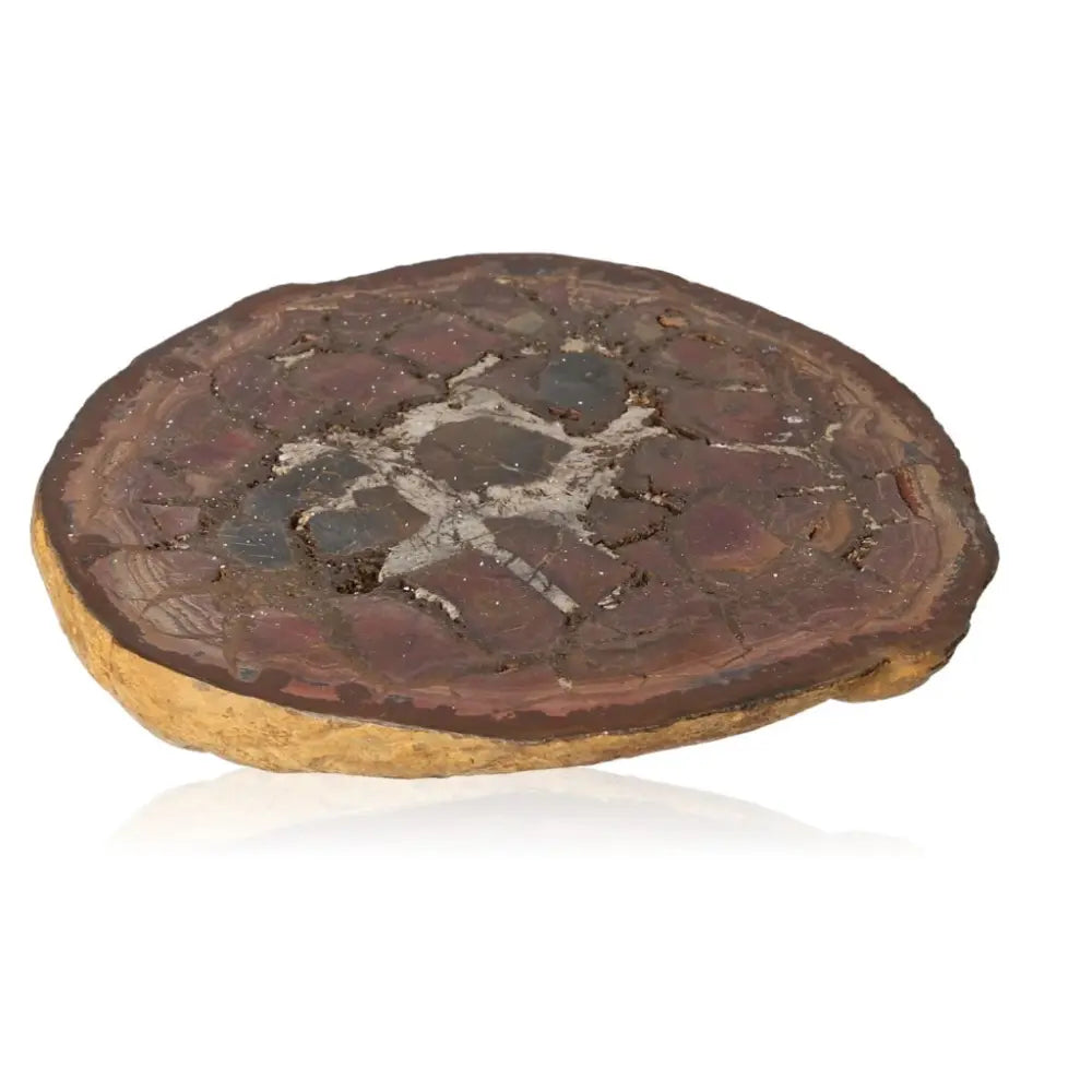 Septarian "Dragon Stone" with unique patterns, symbolizing power and endurance. Ideal for spiritual and therapeutic purposes.