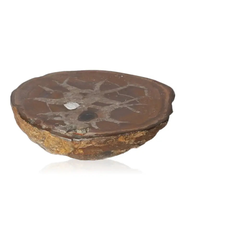 Polished Septarian Dragon Stone with unique patterns symbolizing power and endurance.