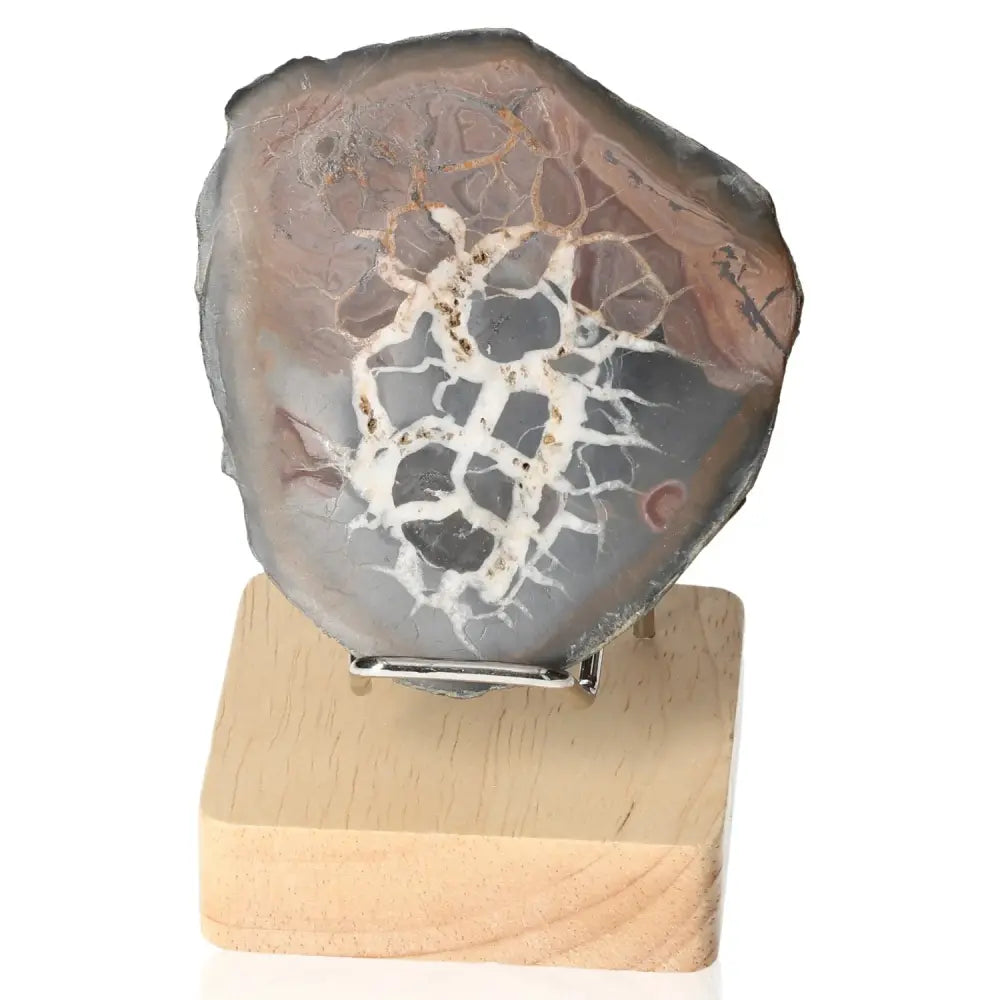 Septarian Dragon Stone with intricate patterns on wood stand, symbolizing power and endurance in challenging conditions.