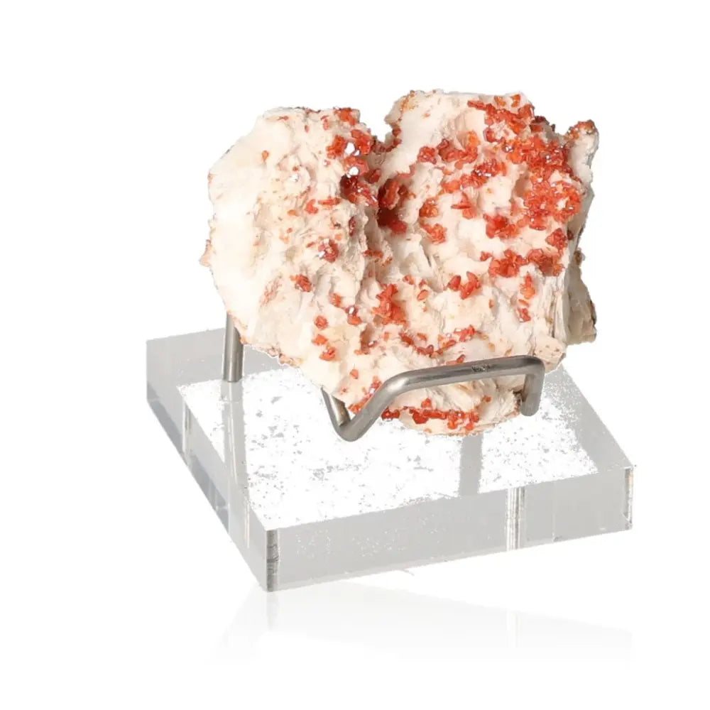 Vanadinite mineral specimen with vibrant red-orange crystals on a white matrix, displayed on a clear stand.