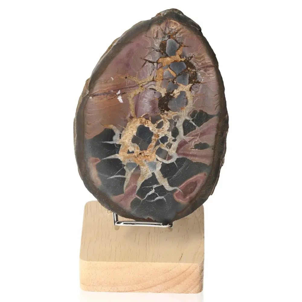 Septarian Dragon Stone on display stand showcasing its unique pattern and colors, symbolizing power and endurance.