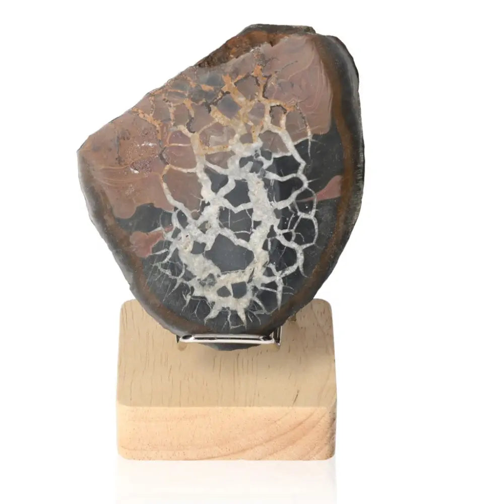 Septarian stone on a wooden stand, showcasing its unique cracked-pattern surface and earthy tones.