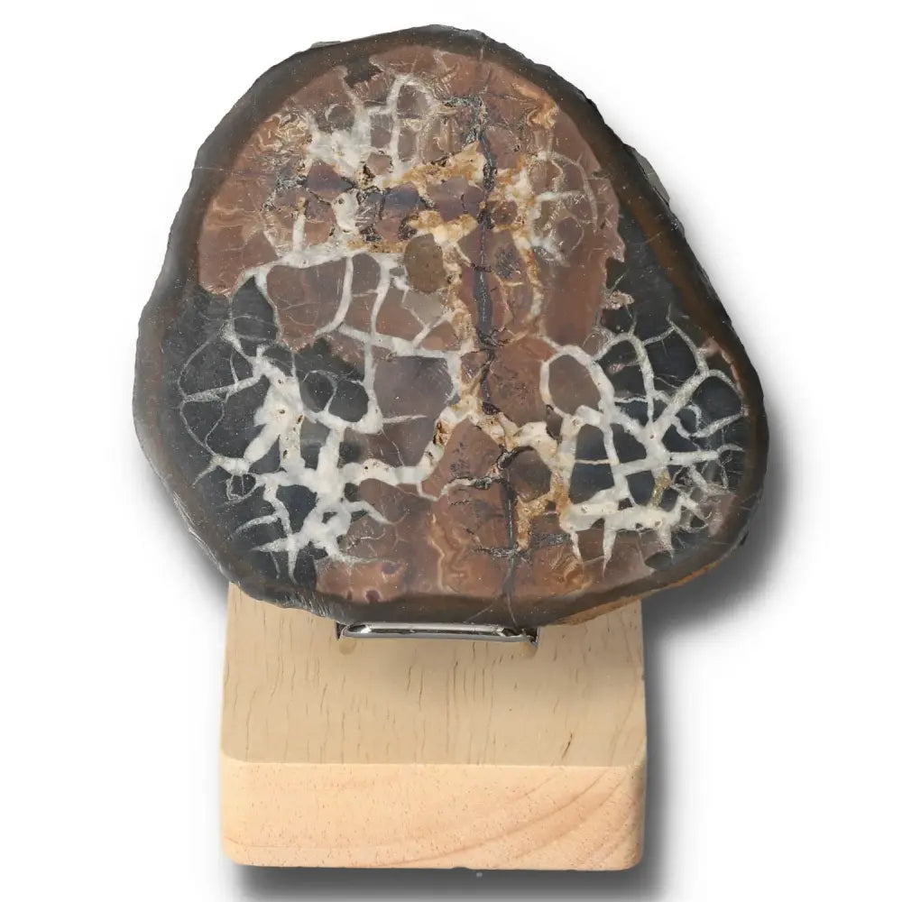Close-up of a Septarian "Dragon Stone" showcasing its unique patterns and multidimensional appearance, symbolizing power and endurance.