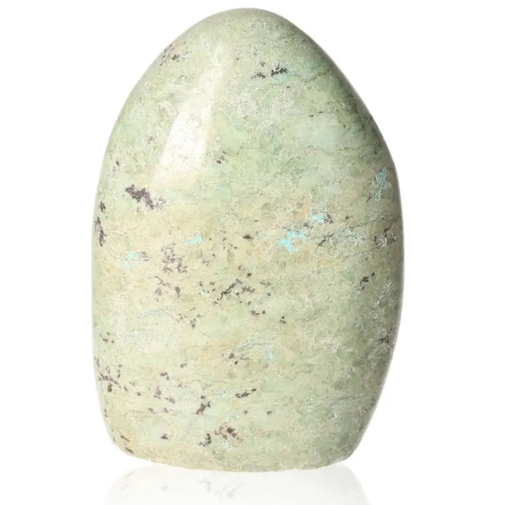 Polished Zebra Serpentine Free Form stone with unique black and white patterns, evoking a zebra's coat, on a white background.