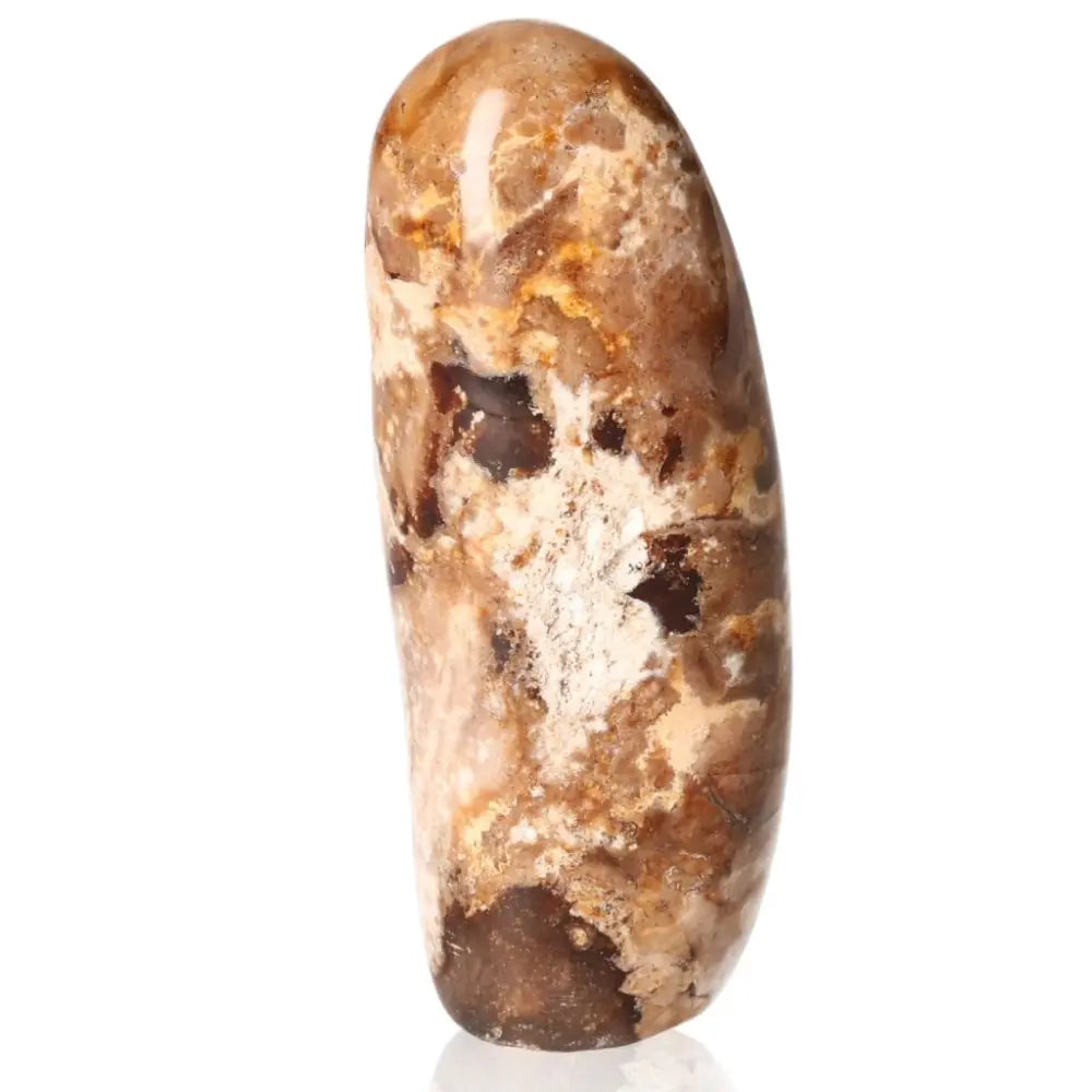 Petrified Wood Free Form stone, showcasing earthy colors and wood-like patterns, symbolizes grounding and ancient wisdom.