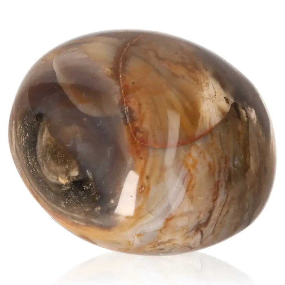 Tumbled Petrified Wood Stone with Earthy Colors for Root Chakra Activation and Personal Growth