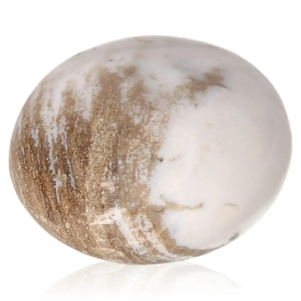 Tumbled Petrified Wood with earthy colors, symbolizing grounding and ancient wisdom, enhances stability and personal growth.