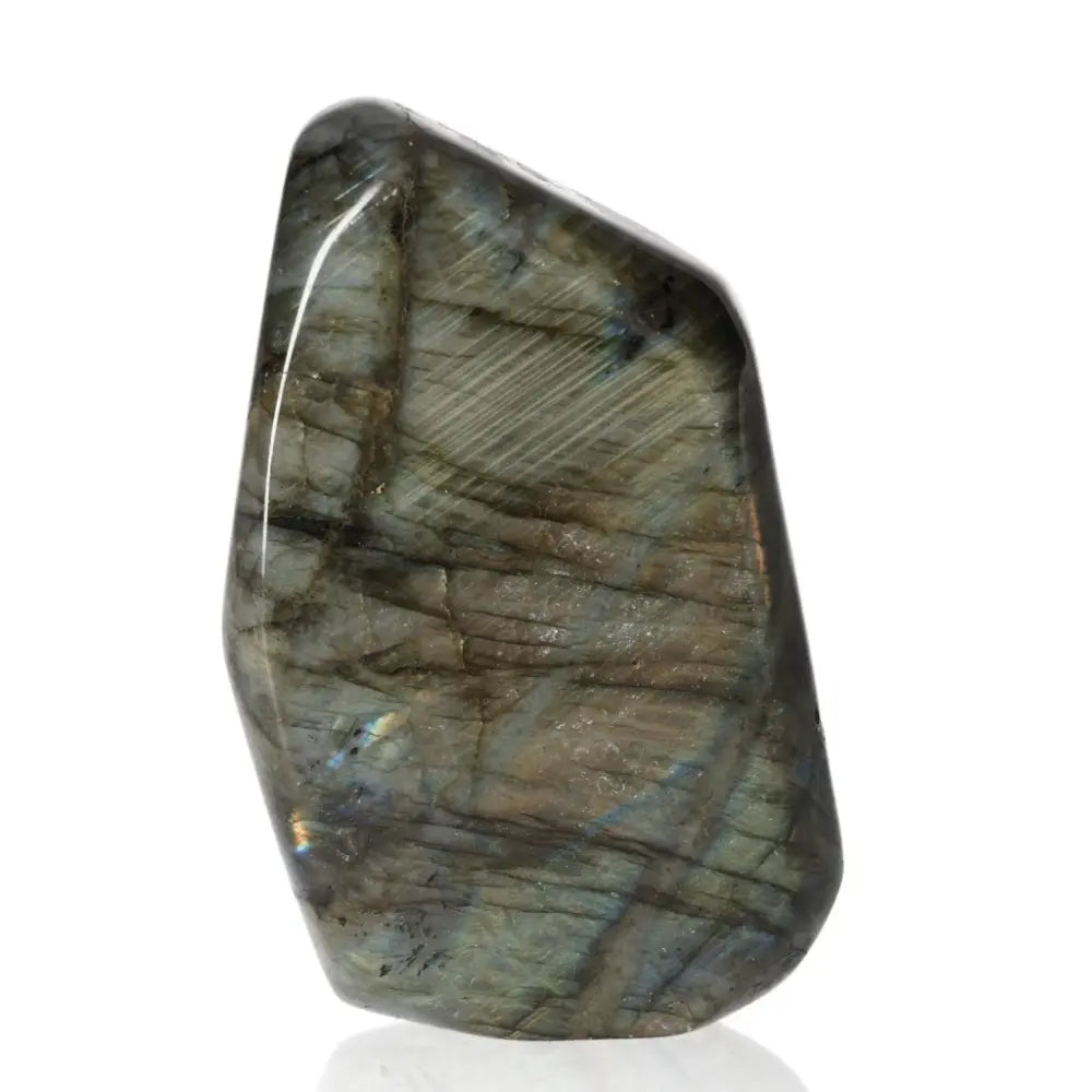 Polished Labradorite Cut Base by Sylvia Crystals showcasing natural beauty and energy with colorful flashes