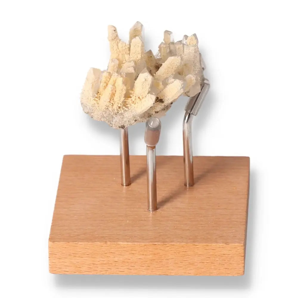 Quartz with Calcite on display stand, showcasing the fusion of clarity and soothing energy from Sylvia Crystals.