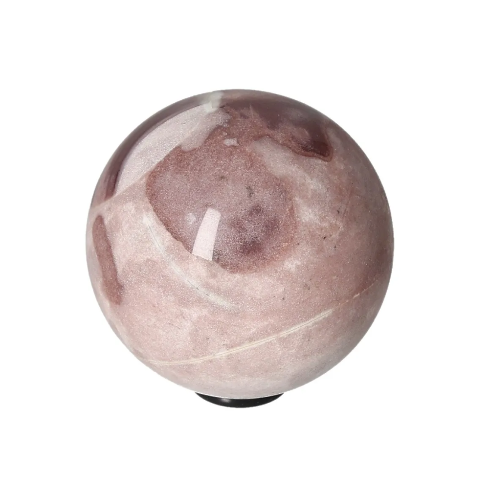 orbitvu|type:image2d