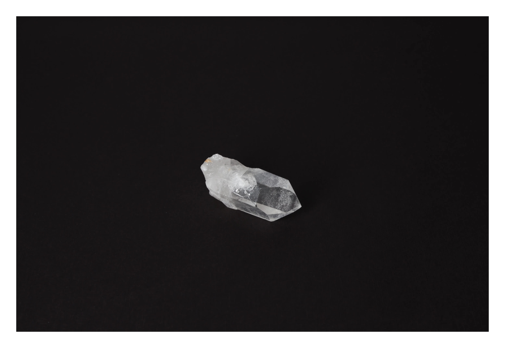 orbitvu|type:image2d