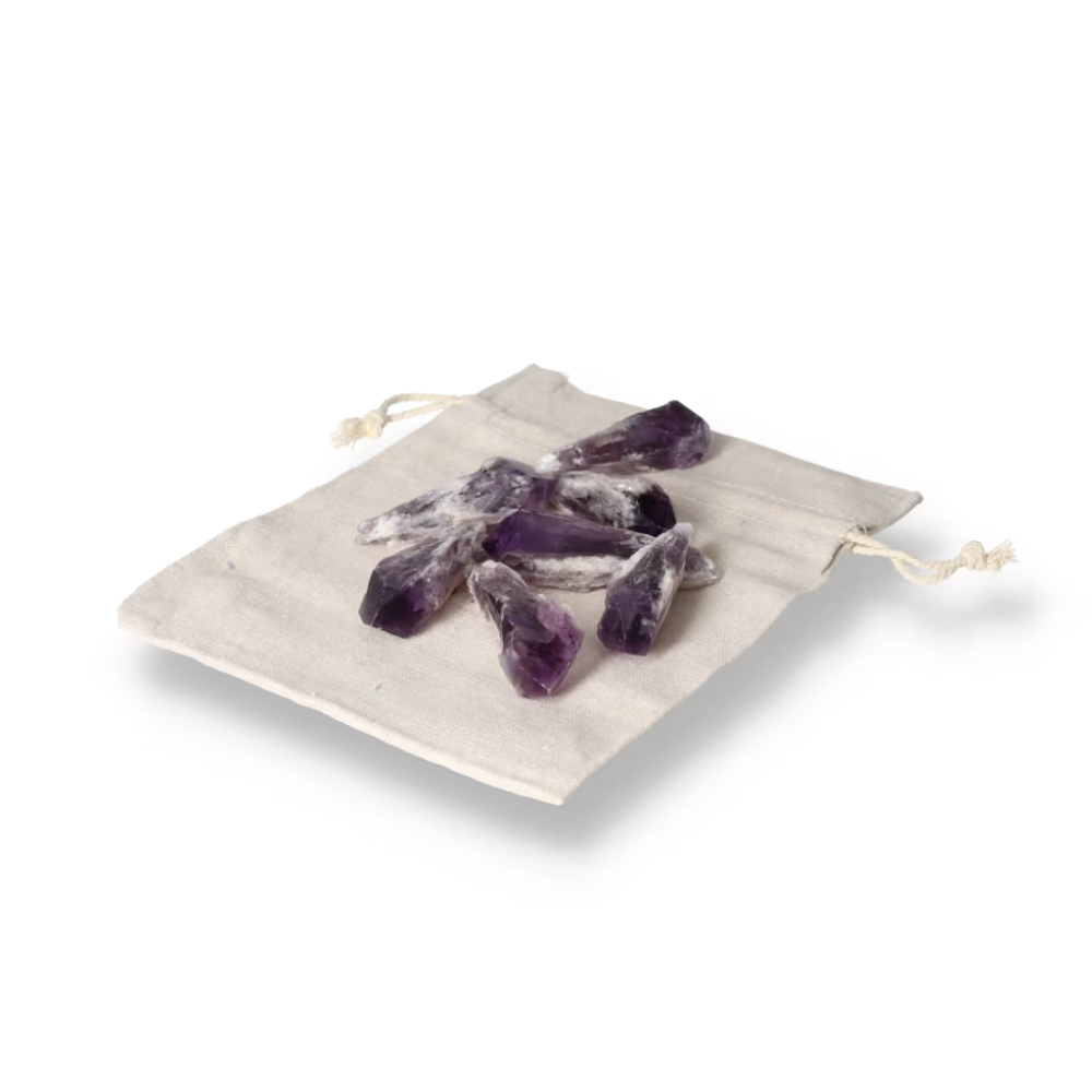 orbitvu|type:ORBITVU 360|https://orbitvu.co/share/fCYaDcV6R2jKK6RgeVKwQm/6720434/360/iframe