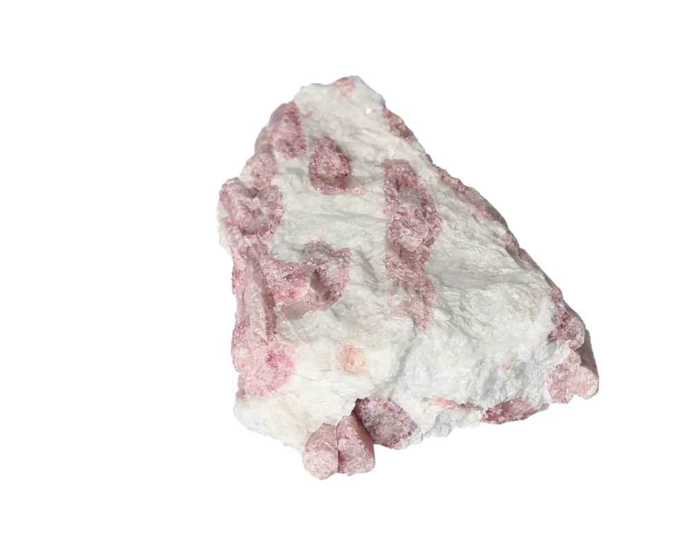 orbitvu|type:image2d