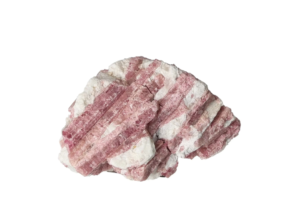 orbitvu|type:image2d