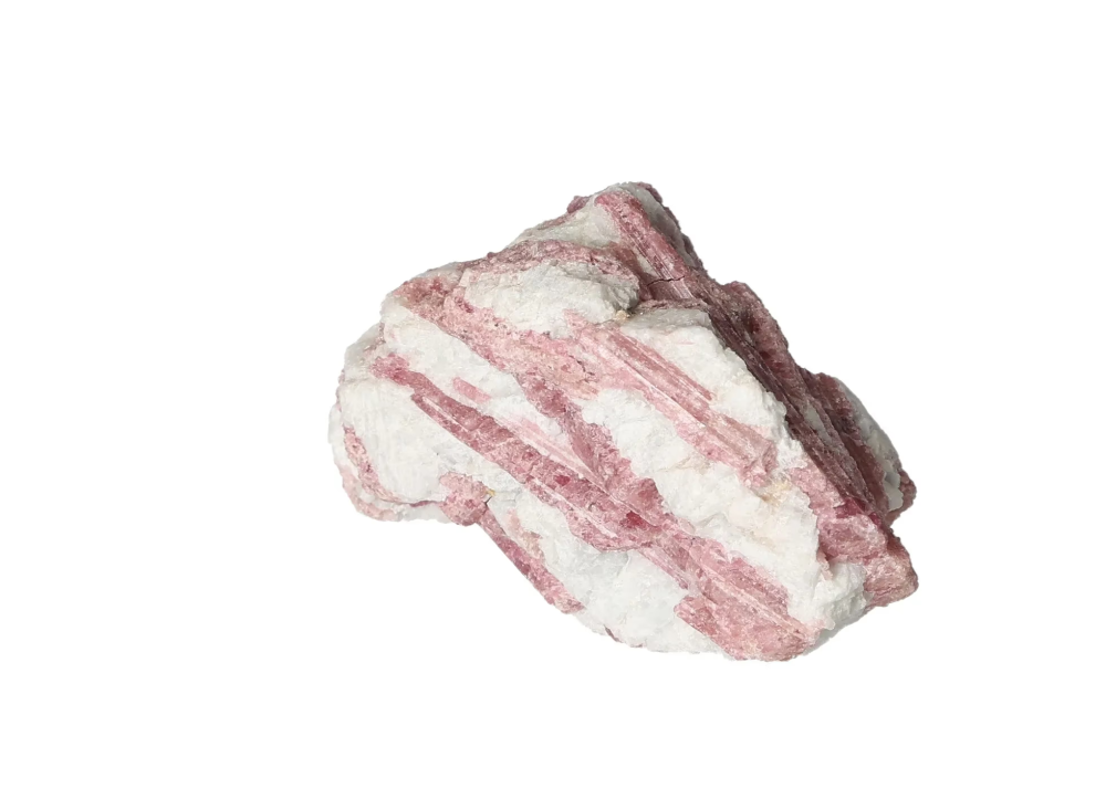 orbitvu|type:image2d