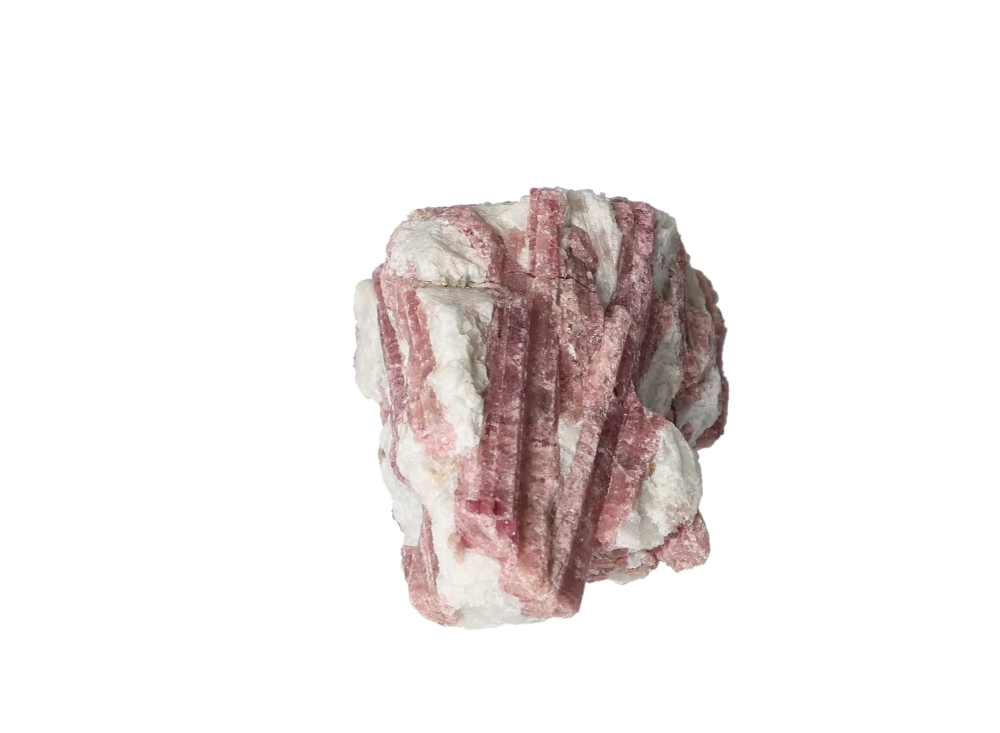 orbitvu|type:image2d