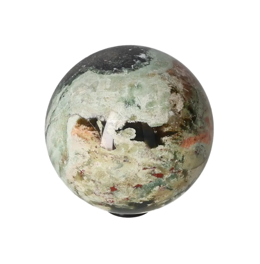 orbitvu|type:image2d