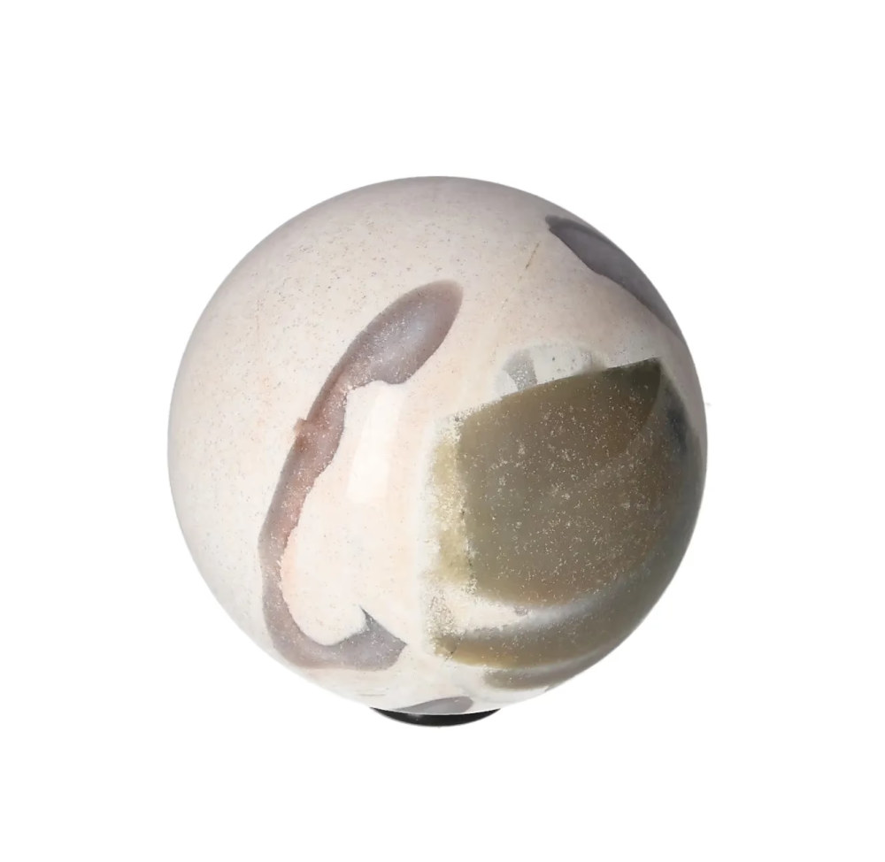 orbitvu|type:image2d