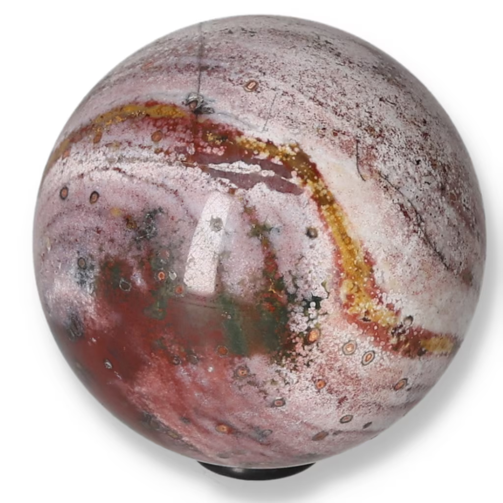 orbitvu|type:ORBITVU 360|https://orbitvu.co/share/AtEnEBgFLAe9T5qAQNY6cZ/6731156/360/iframe