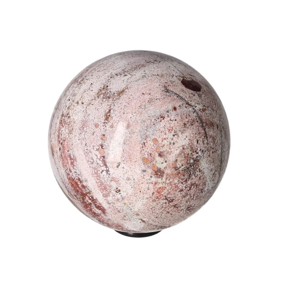 orbitvu|type:image2d