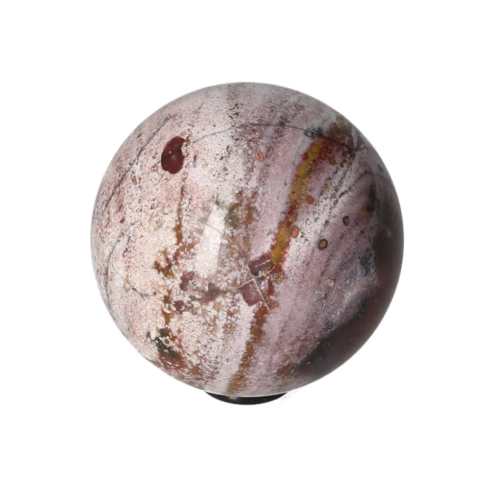 orbitvu|type:image2d