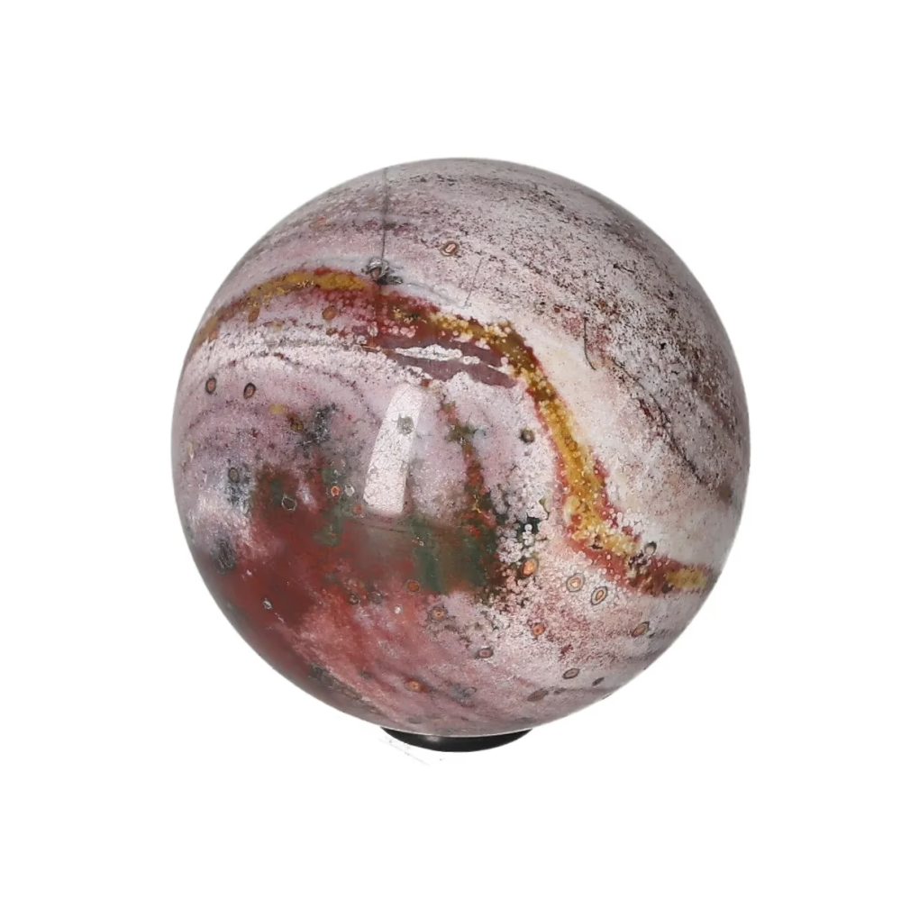 orbitvu|type:image2d