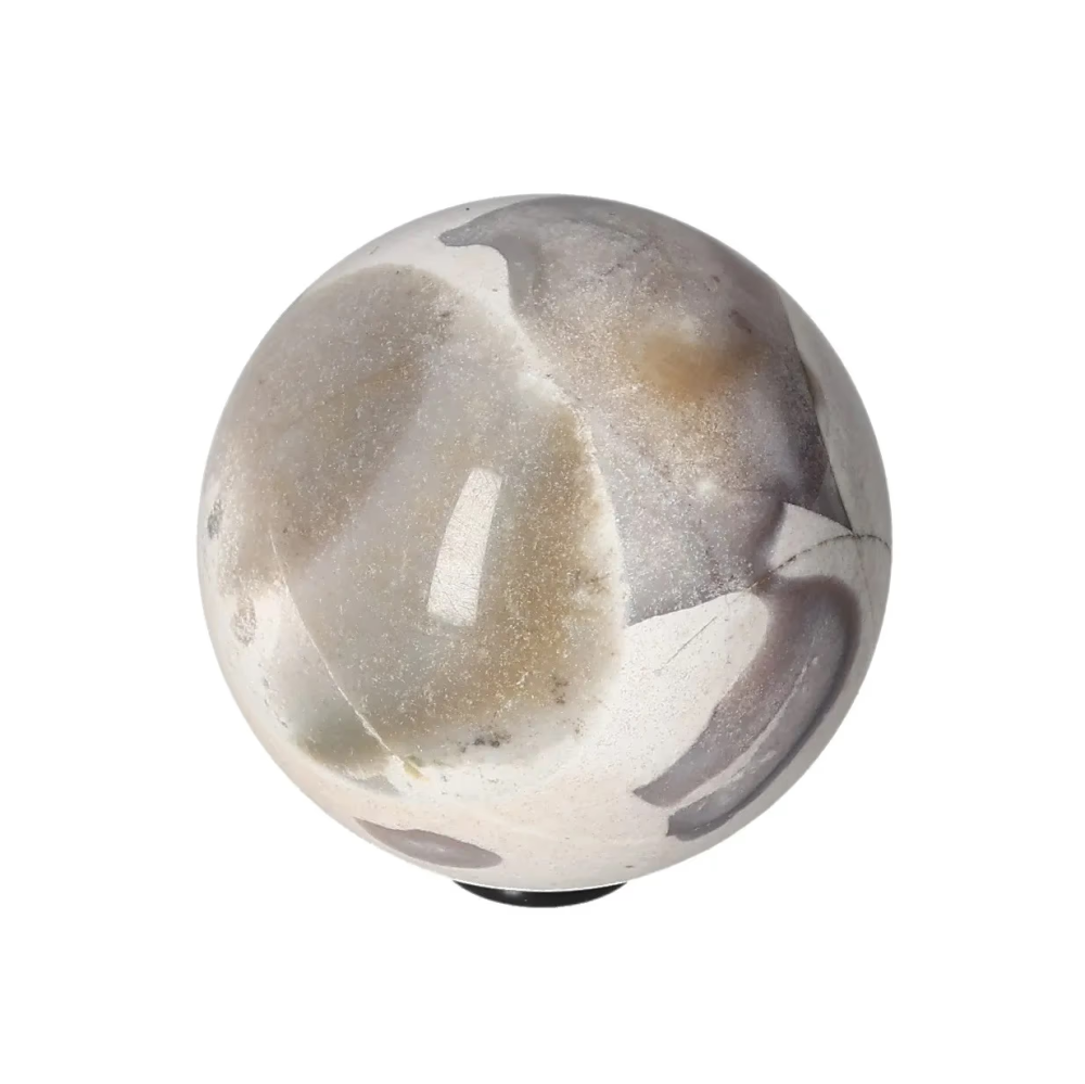 orbitvu|type:image2d