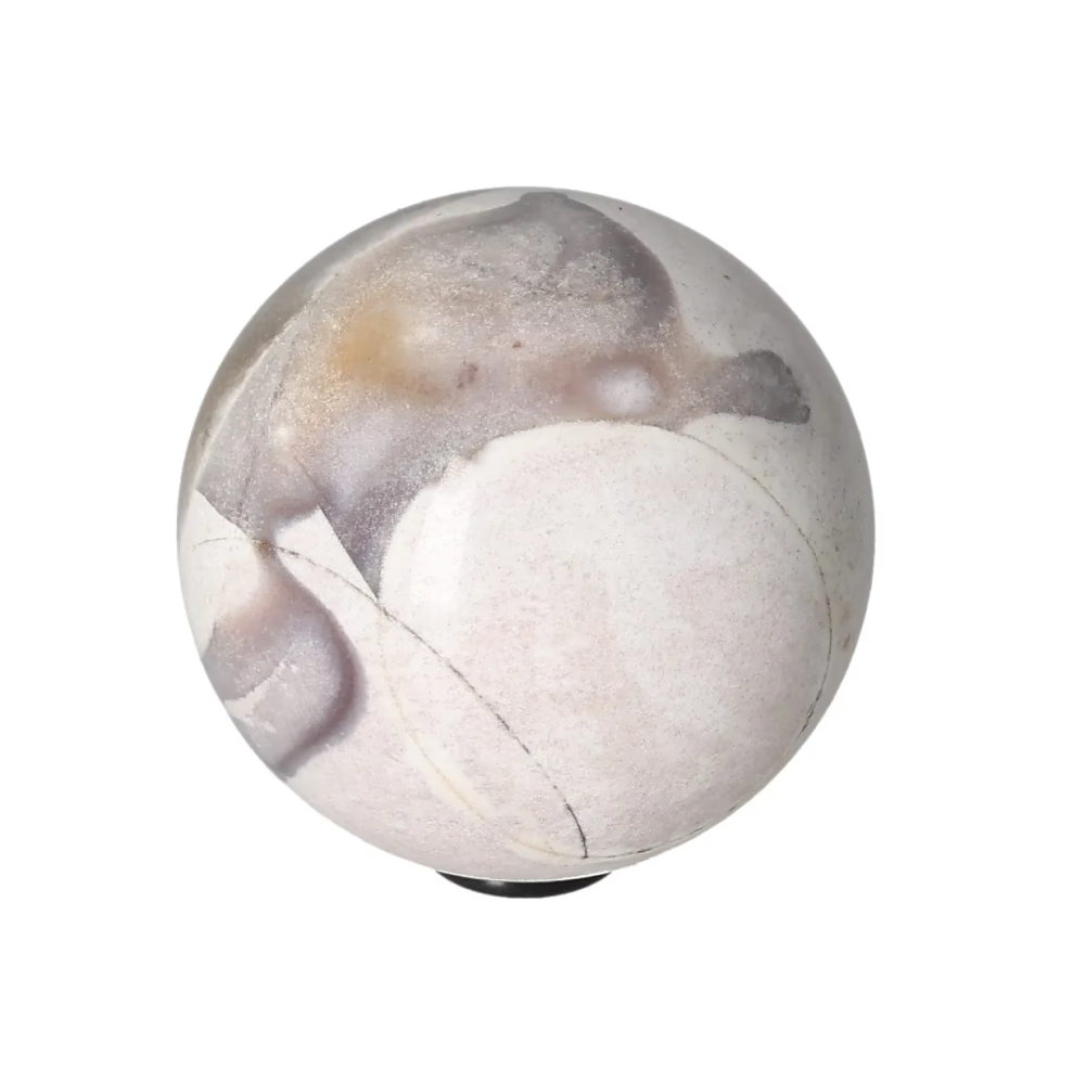 orbitvu|type:image2d