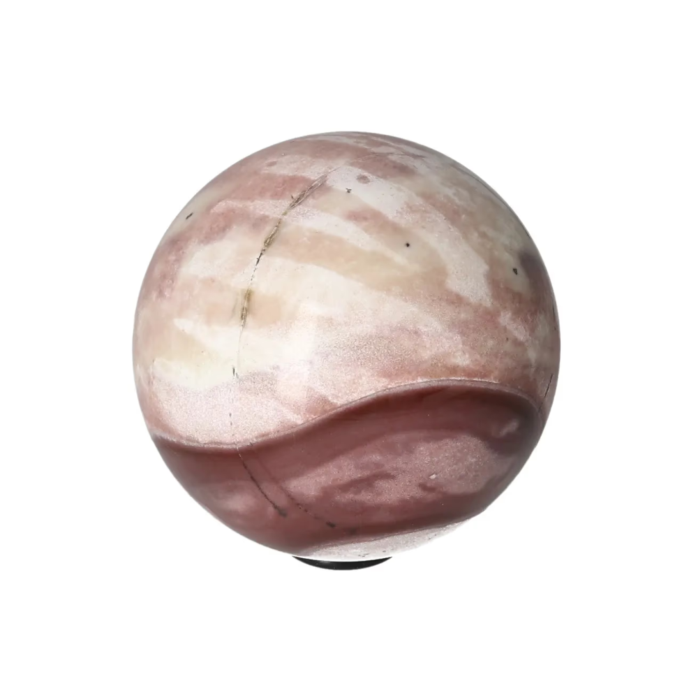 orbitvu|type:image2d