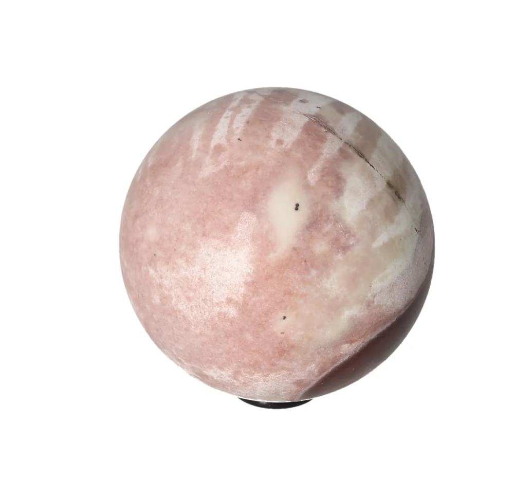 orbitvu|type:image2d