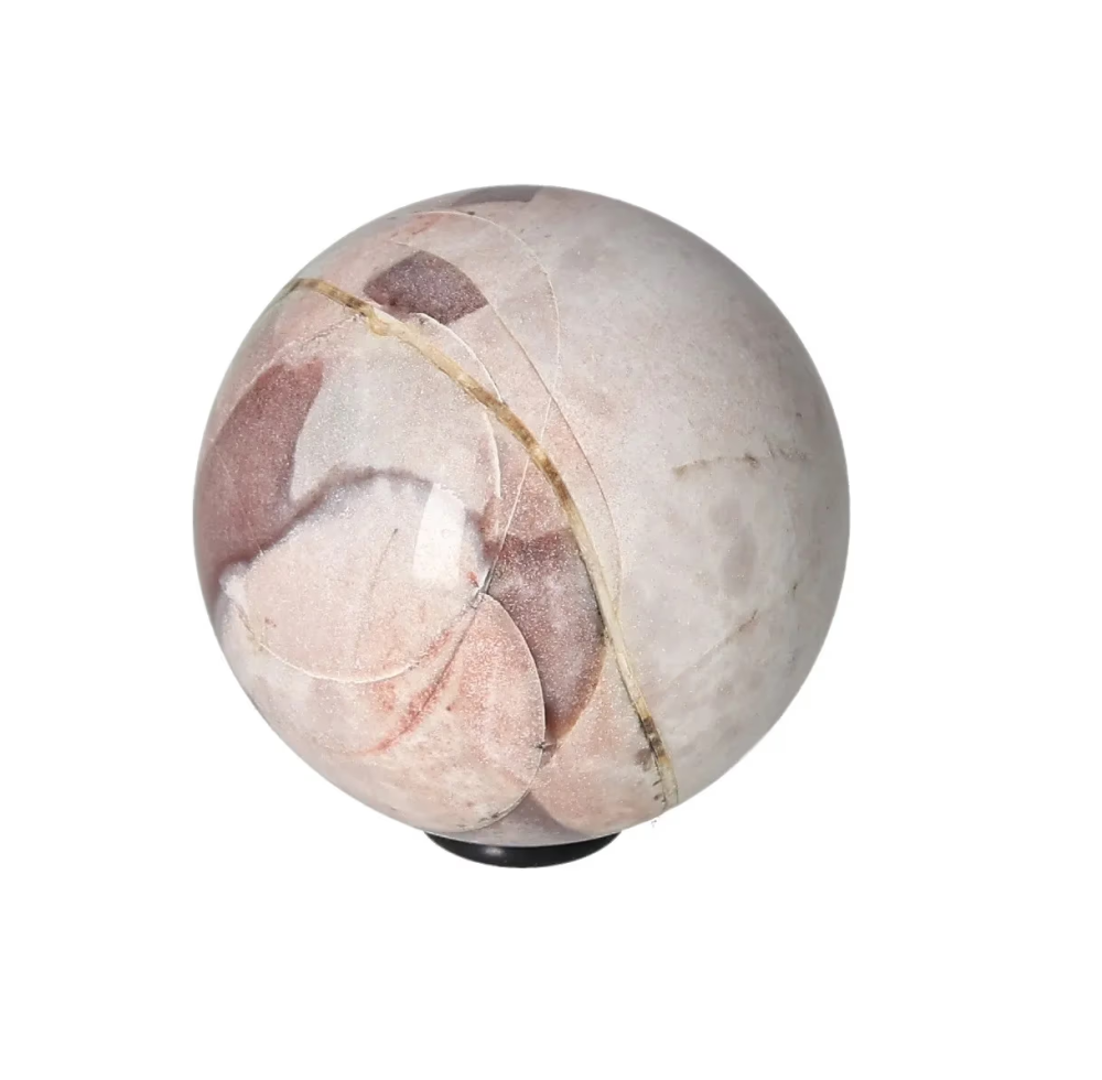 orbitvu|type:image2d