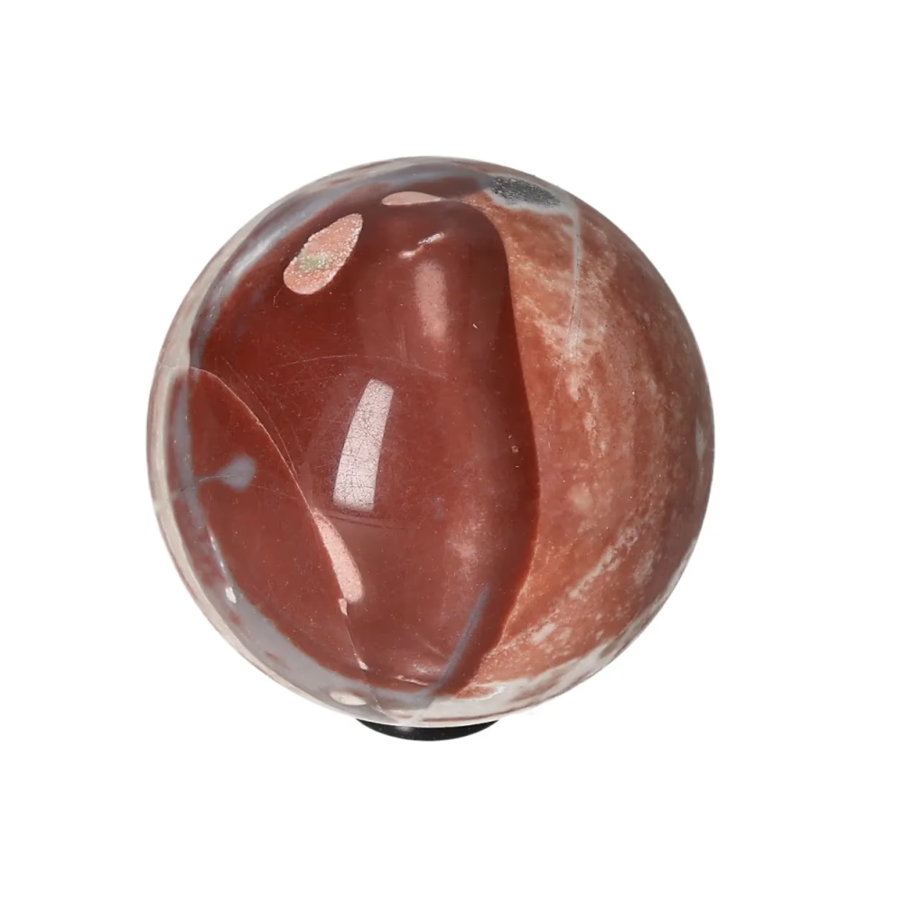 orbitvu|type:image2d