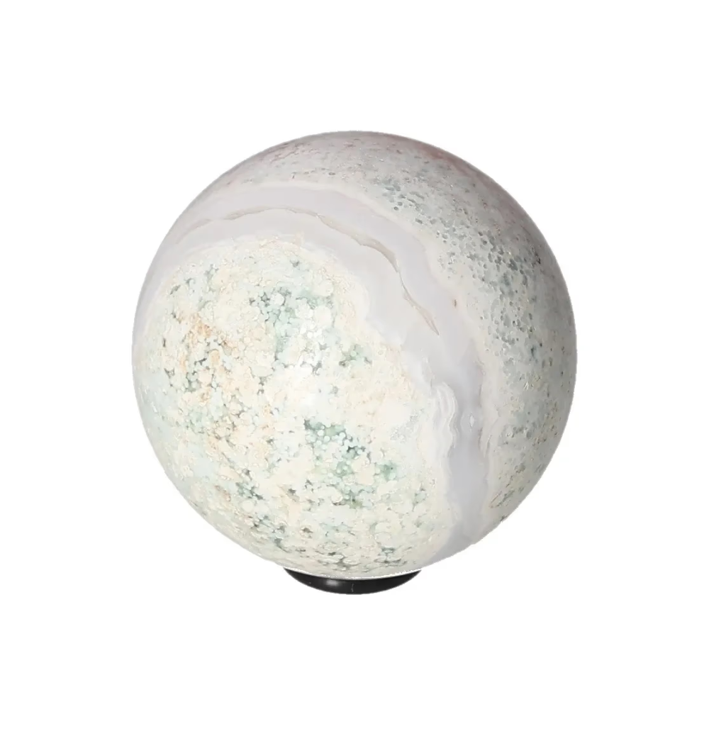 orbitvu|type:image2d