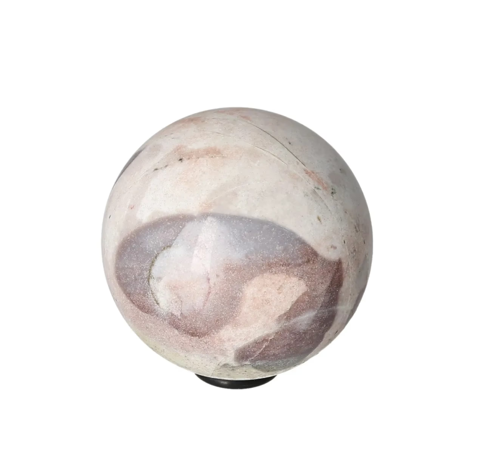 orbitvu|type:image2d